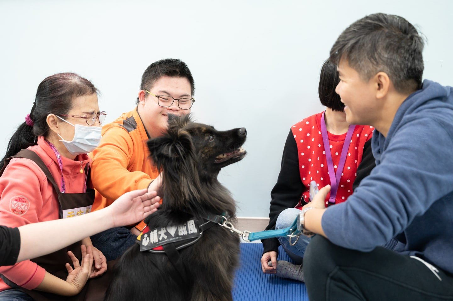 心輔犬